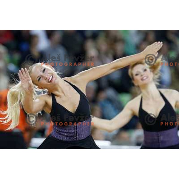 Zmajcice -Dragon Ladies of Union Olimpija in action during basketball game Union Olimpija Ljubljana- Mapooro Cantu in round 6 of Turkish Airlines Euroleague 2012/13 played in Arena Stozice, Ljubljana, Slovenia on November 15, 2012 