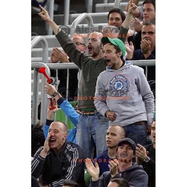 Fans of Union Olimpija in action during basketball game Union Olimpija Ljubljana- Mapooro Cantu in round 6 of Turkish Airlines Euroleague 2012/13 played in Arena Stozice, Ljubljana, Slovenia on November 15, 2012 