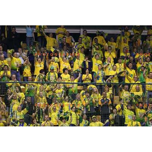 Fans of Celje Pivovarna Lasko in action during handball match RK Celje Pivovarna Lasko-THW Kiel in EHF men\'s Champions league, played in Arena Zlatorog in Celje, Slovenia on November 17, 2012 
