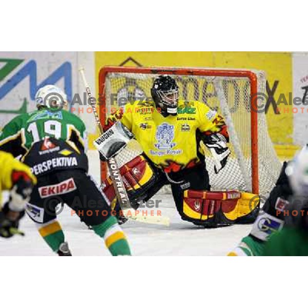 Goalkeeper Anze Ulcar during semi-final of Interliga match ZM Olimpija- BR Slavija in Hala Tivoli, Ljubljana, Slovenia 23.1.2007