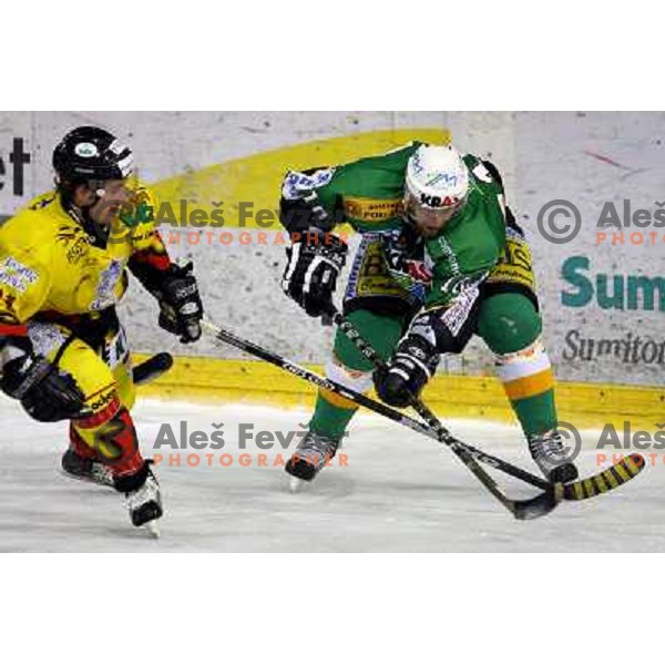  Jaka Avgustincic stops Mitja Sivic during semi-final of Interliga match ZM Olimpija- BR Slavija in Hala Tivoli, Ljubljana, Slovenia 23.1.2007