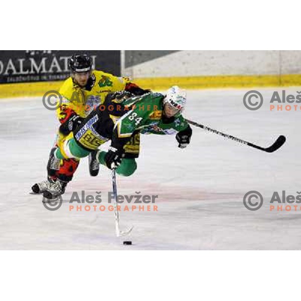 Jure Stopar sacks Andrej Hebar (84) during semi-final of Interliga match ZM Olimpija- BR Slavija in Hala Tivoli, Ljubljana, Slovenia 23.1.2007