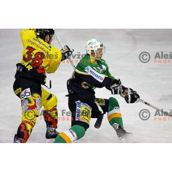  Badiura (19) drives past Bevk (38) during semi-final of Interliga match ZM Olimpija- BR Slavija in Hala Tivoli, Ljubljana, Slovenia 23.1.2007