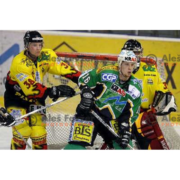 Bevk (38) holds Zemva (12) during semi-final of Interliga match ZM Olimpija- BR Slavija in Hala Tivoli, Ljubljana, Slovenia 23.1.2007