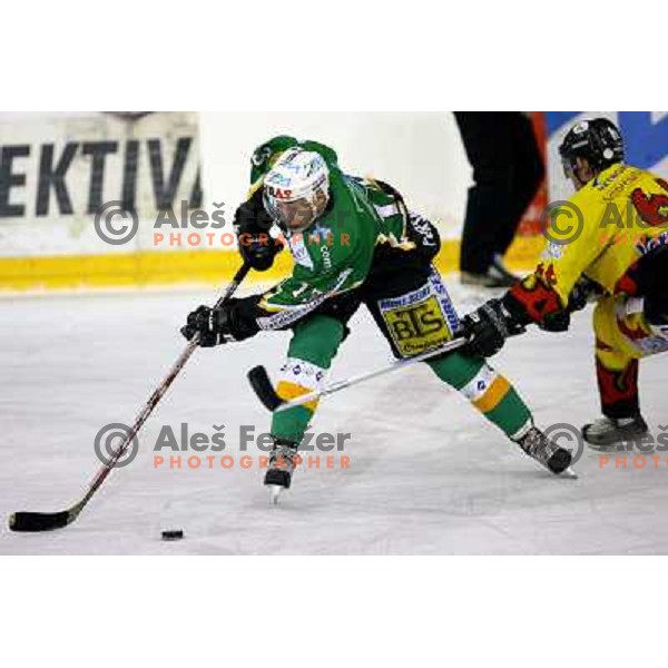 Marko Ferlez (13) during semi-final of Interliga match ZM Olimpija- BR Slavija in Hala Tivoli, Ljubljana, Slovenia 23.1.2007