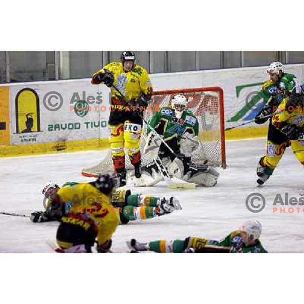  Ales Sila defends his goal during semi-final of Interliga match ZM Olimpija- BR Slavija in Hala Tivoli, Ljubljana, Slovenia 23.1.2007