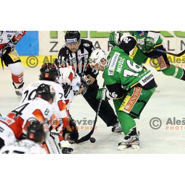 Ales Music of Telemach Olimpija in action during ice hockey match Telemach Olimpija Ljubljana- HC TWK Innsbruck in round 25 of Ebel league 2012/13 played in Hala Tivoli, Ljubljana, Slovenia on November 25, 2012 