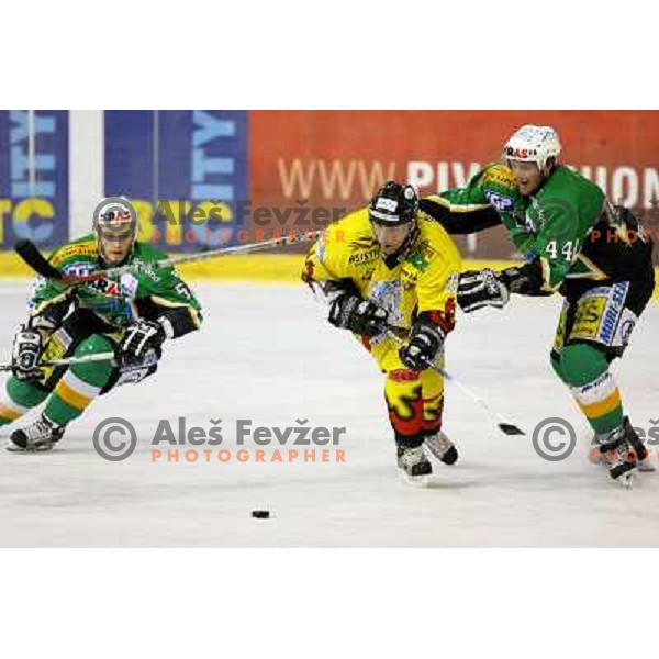 Tavzelj Andrej (44) tries to stop Mare Kumar (66) during semi-final of Interliga match ZM Olimpija- BR Slavija in Hala Tivoli, Ljubljana, Slovenia 23.1.2007