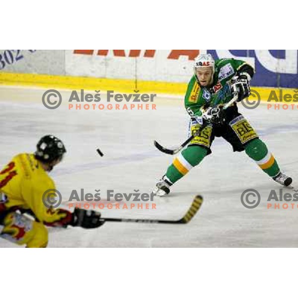  Domen Vedlin (5) during semi-final of Interliga match ZM Olimpija- BR Slavija in Hala Tivoli, Ljubljana, Slovenia 23.1.2007