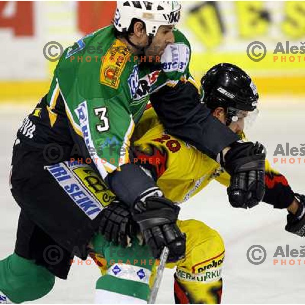  Ciglenecki (3) tries to stop Slamiar during semi-final of Interliga match ZM Olimpija- BR Slavija in Hala Tivoli, Ljubljana, Slovenia 23.1.2007