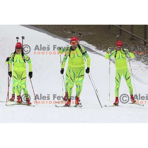 Teja Gregorin, Jakov Fak of Slovenia Biathlon team during practice session at Pokljuka Biathlon centre in Slovenia on November 19, 2012 