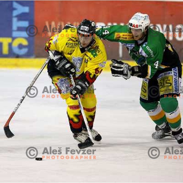 Igor Cvetek(4) tries to stop Mare Kumar (66) during semi-final of Interliga match ZM Olimpija- BR Slavija in Hala Tivoli, Ljubljana, Slovenia 23.1.2007