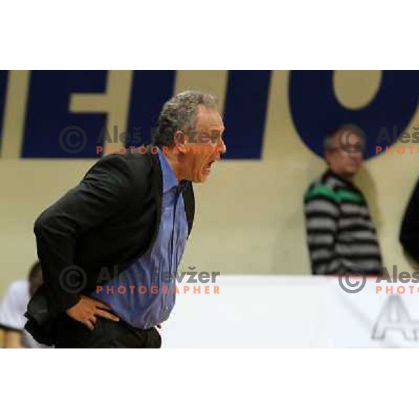 Zmago sagadin, head coach of Helios Domzale in action during basketball match Helios Domzale-Maribor Messer in round 7 of Telemach league, played in Domzale Sports Hall, Slovenia on December1, 2012 