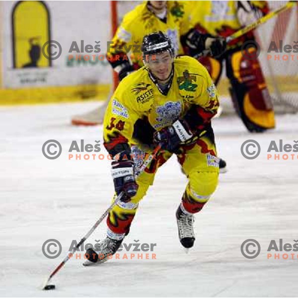  Ziga Pavlin during semi-final of Interliga match ZM Olimpija- BR Slavija in Hala Tivoli, Ljubljana, Slovenia 23.1.2007