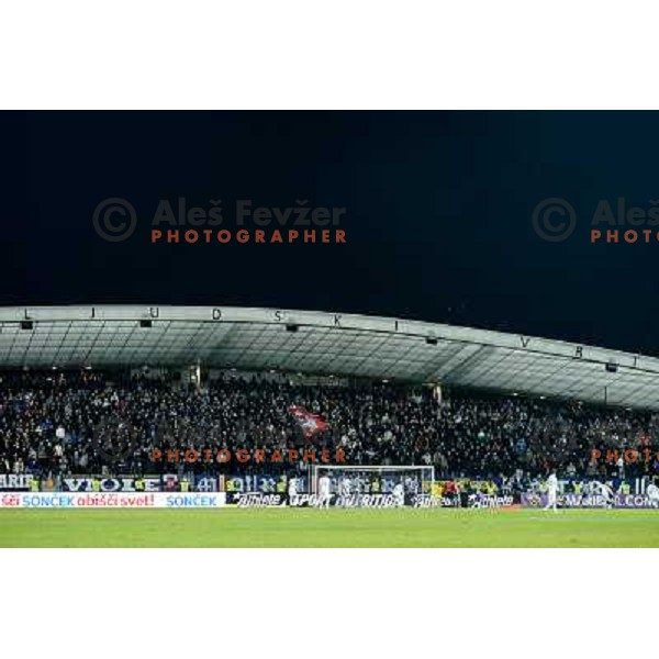 Viole in action during football match Maribor - Lazio, UEFA Europa league 2012-2013 Group Stage, Ljudski Vrt, Maribor, 06.12.2012 