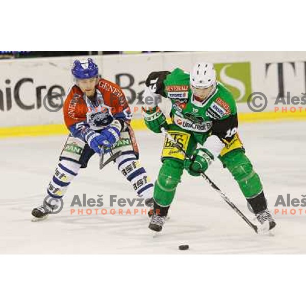 Ziga Pance of Telemach Olimpija and Domen Vedlin of Medvescak Zagreb in action during ice hockey match Telemach Olimpija Ljubljana- KHL Medvescak Zagreb in round 28 of Ebel league 2012/13 played in Hala Tivoli, Ljubljana, Slovenia on December 7th , 2012 