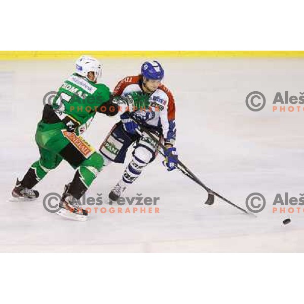 Andrew Thomas of Telemach Olimpija in action during ice hockey match Telemach Olimpija Ljubljana- KHL Medvescak Zagreb in round 28 of Ebel league 2012/13 played in Hala Tivoli, Ljubljana, Slovenia on December 7th , 2012 