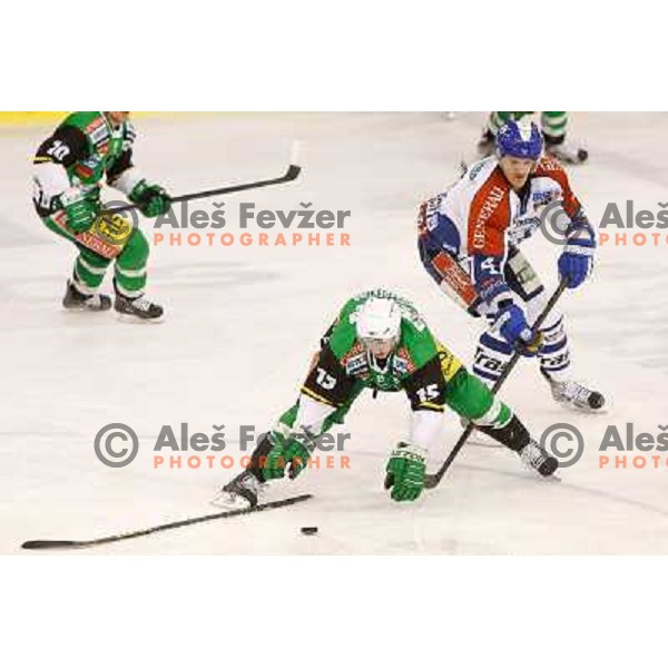 Chris D\'Alvise of Telemach Olimpija and David Brine of Medvescak Zagreb in action during ice hockey match Telemach Olimpija Ljubljana- KHL Medvescak Zagreb in round 28 of Ebel league 2012/13 played in Hala Tivoli, Ljubljana, Slovenia on December 7th , 201