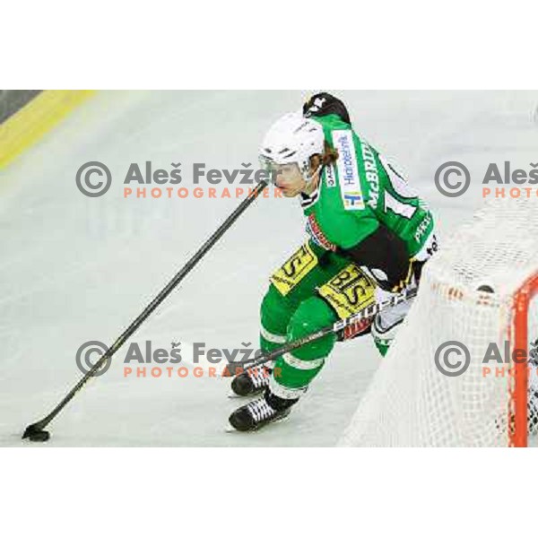 Brock Mc Bride of Telemach Olimpija in action during ice hockey match Telemach Olimpija Ljubljana- KHL Medvescak Zagreb in round 28 of Ebel league 2012/13 played in Hala Tivoli, Ljubljana, Slovenia on December 7th , 2012 