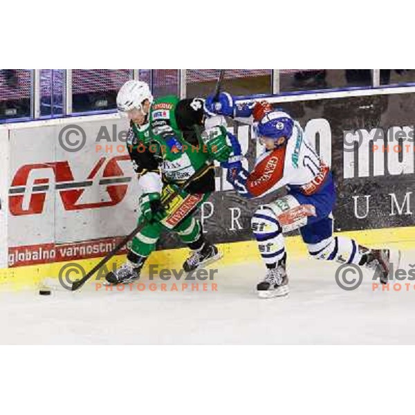 Matevz Erman of Telemach Olimpija and Tomislav Zanoski of Medvescak Zagreb in action during ice hockey match Telemach Olimpija Ljubljana- KHL Medvescak Zagreb in round 28 of Ebel league 2012/13 played in Hala Tivoli, Ljubljana, Slovenia on December 7th , 