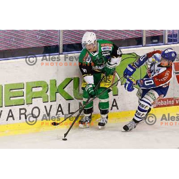 Matevz Erman of Telemach Olimpija and Tomislav Zanoski of Medvescak Zagreb in action during ice hockey match Telemach Olimpija Ljubljana- KHL Medvescak Zagreb in round 28 of Ebel league 2012/13 played in Hala Tivoli, Ljubljana, Slovenia on December 7th , 
