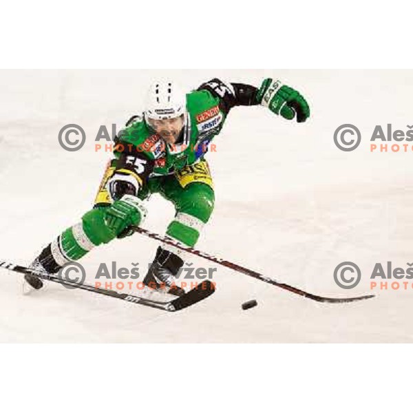 Patrick Coulombe of Telemach Olimpija in action during ice hockey match Telemach Olimpija Ljubljana- KHL Medvescak Zagreb in round 28 of Ebel league 2012/13 played in Hala Tivoli, Ljubljana, Slovenia on December 7th , 2012 