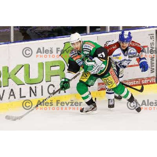 Kevin De Vergilio of Telemach Olimpija in action during ice hockey match Telemach Olimpija Ljubljana- KHL Medvescak Zagreb in round 28 of Ebel league 2012/13 played in Hala Tivoli, Ljubljana, Slovenia on December 7th , 2012 