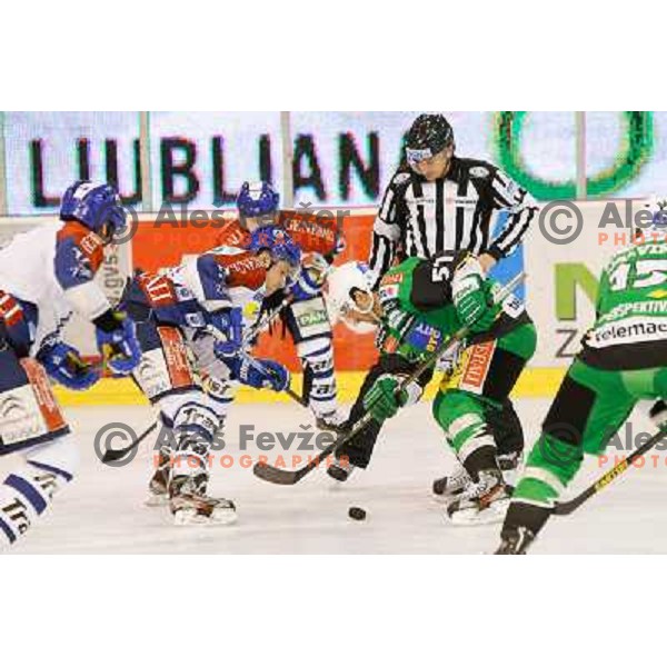 Action during ice hockey match Telemach Olimpija Ljubljana- KHL Medvescak Zagreb in round 28 of Ebel league 2012/13 played in Hala Tivoli, Ljubljana, Slovenia on December 7th , 2012 