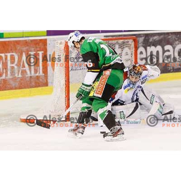 Jaka Ankerst of Telemach Olimpija and Robert Kristan of Medvescak Zagreb in action during ice hockey match Telemach Olimpija Ljubljana- KHL Medvescak Zagreb in round 28 of Ebel league 2012/13 played in Hala Tivoli, Ljubljana, Slovenia on December 7th , 20