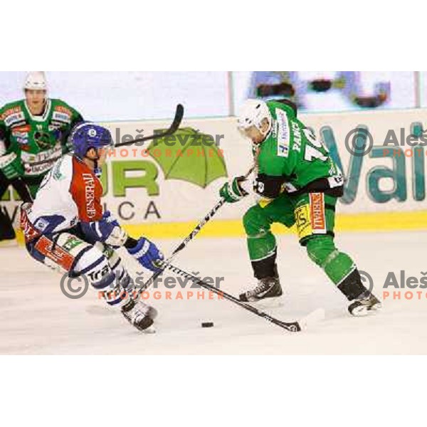 Ziga Pance of Telemach Olimpija and Adam Naglich of Medvescak Zagreb in action during ice hockey match Telemach Olimpija Ljubljana- KHL Medvescak Zagreb in round 28 of Ebel league 2012/13 played in Hala Tivoli, Ljubljana, Slovenia on December 7th , 2012 