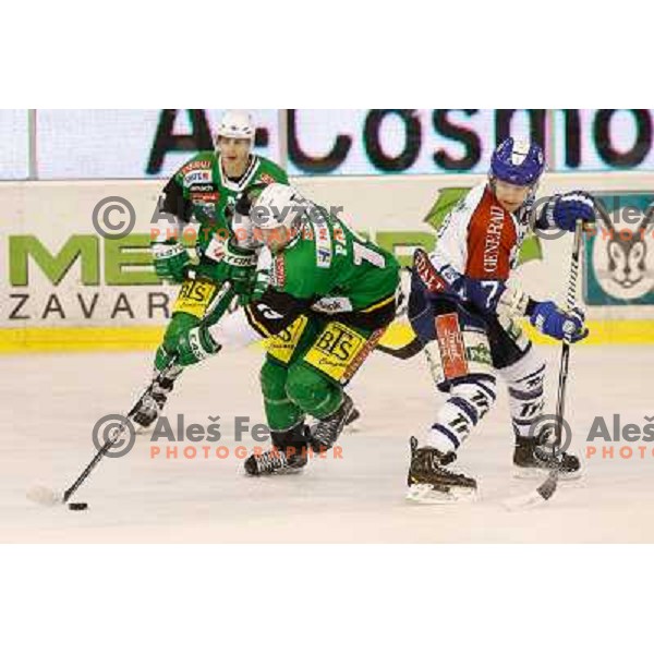 Ziga Pance of Telemach Olimpija and Adam Naglich of Medvescak Zagreb in action during ice hockey match Telemach Olimpija Ljubljana- KHL Medvescak Zagreb in round 28 of Ebel league 2012/13 played in Hala Tivoli, Ljubljana, Slovenia on December 7th , 2012 