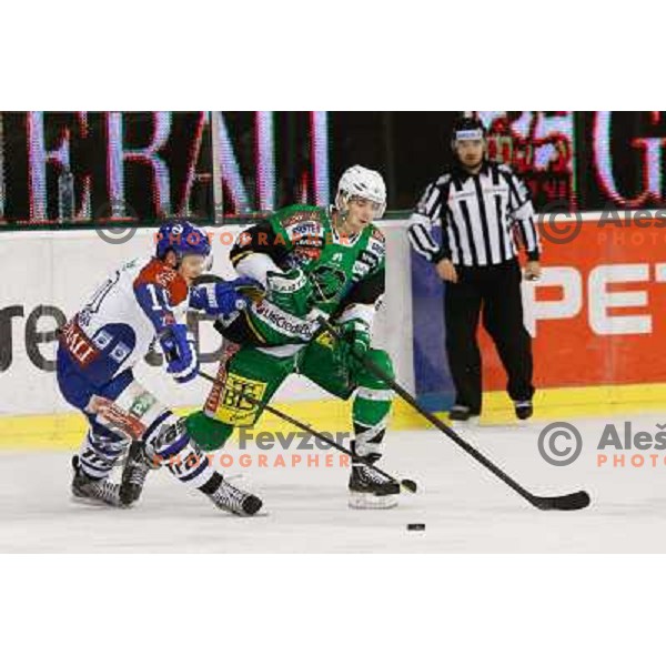 Miha Verlic of Telemach Olimpija and Tomislav Zanoski of Medvescak Zagreb in action during ice hockey match Telemach Olimpija Ljubljana- KHL Medvescak Zagreb in round 28 of Ebel league 2012/13 played in Hala Tivoli, Ljubljana, Slovenia on December 7th , 