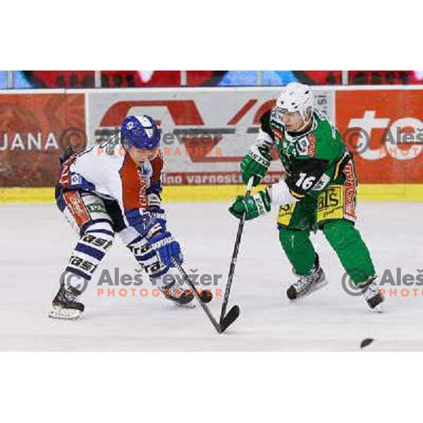 Ales Music of Telemach Olimpija and Domen Vedlin of Medvescak Zagreb in action during ice hockey match Telemach Olimpija Ljubljana- KHL Medvescak Zagreb in round 28 of Ebel league 2012/13 played in Hala Tivoli, Ljubljana, Slovenia on December 7th , 2012