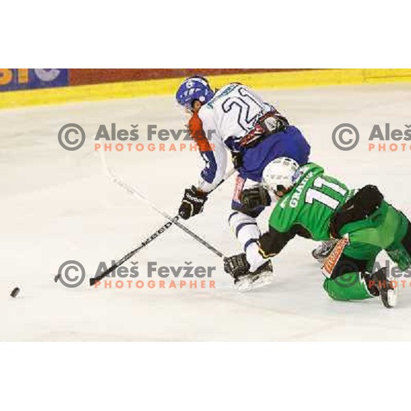 Ziga Grahut of Telemach Olimpija and DUstin Jeffrey of Medvescak Zagreb in action during ice hockey match Telemach Olimpija Ljubljana- KHL Medvescak Zagreb in round 28 of Ebel league 2012/13 played in Hala Tivoli, Ljubljana, Slovenia on December 7th , 20
