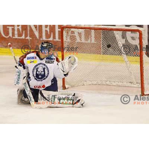 Robert Kristan of Medvescak Zagreb in action during ice hockey match Telemach Olimpija Ljubljana- KHL Medvescak Zagreb in round 28 of Ebel league 2012/13 played in Hala Tivoli, Ljubljana, Slovenia on December 7th , 2012 