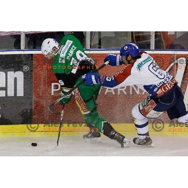 Ziga Pance of Telemach Olimpija and Kyle Greentree of Medvescak Zagreb in action during ice hockey match Telemach Olimpija Ljubljana- KHL Medvescak Zagreb in round 28 of Ebel league 2012/13 played in Hala Tivoli, Ljubljana, Slovenia on December 7th , 2012