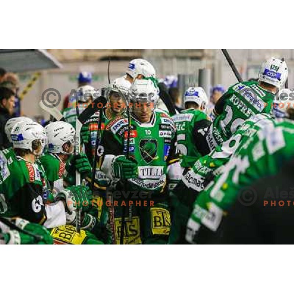 Team of Telemach Olimpija in action during ice hockey match Telemach Olimpija Ljubljana- KHL Medvescak Zagreb in round 28 of Ebel league 2012/13 played in Hala Tivoli, Ljubljana, Slovenia on December 7th , 2012 