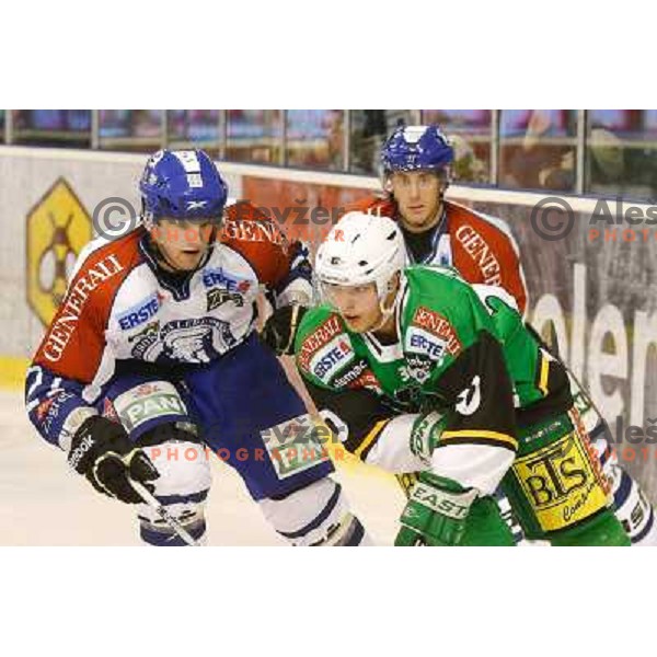 Erik Pance of Telemach Olimpija in action during ice hockey match Telemach Olimpija Ljubljana- KHL Medvescak Zagreb in round 28 of Ebel league 2012/13 played in Hala Tivoli, Ljubljana, Slovenia on December 7th , 2012 
