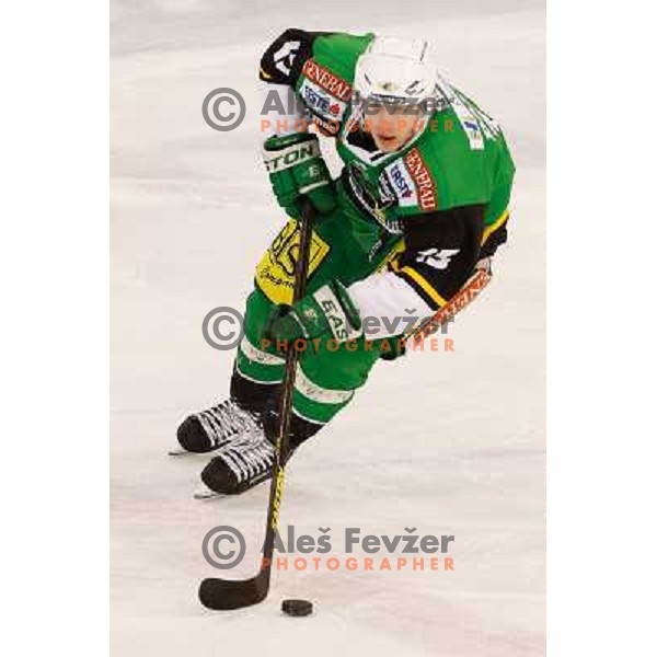 Chris D\'Alvise of Telemach Olimpija in action during ice hockey match Telemach Olimpija Ljubljana- KHL Medvescak Zagreb in round 28 of Ebel league 2012/13 played in Hala Tivoli, Ljubljana, Slovenia on December 7th , 2012 