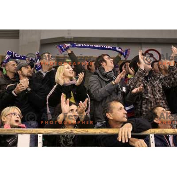 Fans of Slovenia in action during ice-hockey match Slovenia-Austria at EIHC tournament played in Hala Tivoli, Ljubljana, Slovenia on November 10,2012 