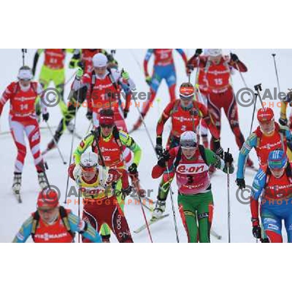 Teja Gregorin during E.On IBU World Cup Biathlon, Women 12,5km Mass Start, Pokljuka, Slovenia on December 16, 2012 