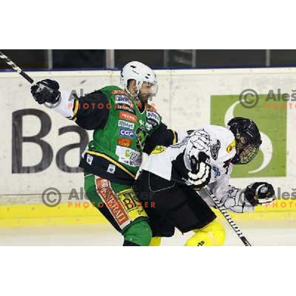 Andrej Hebar of Telemach Olimpija in action during ice hockey match Telemach Olimpija Ljubljana- Dornbirn in round 31 of Ebel league 2012/13 played in Hala Tivoli, Ljubljana, Slovenia on December 16, 2012 