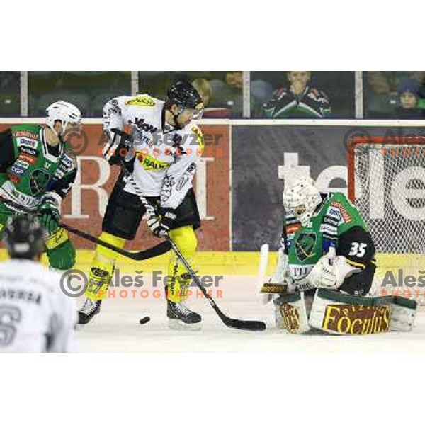 Jerry Kuhn of Telemach Olimpija in action during ice hockey match Telemach Olimpija Ljubljana- Dornbirn in round 31 of Ebel league 2012/13 played in Hala Tivoli, Ljubljana, Slovenia on December 16, 2012 
