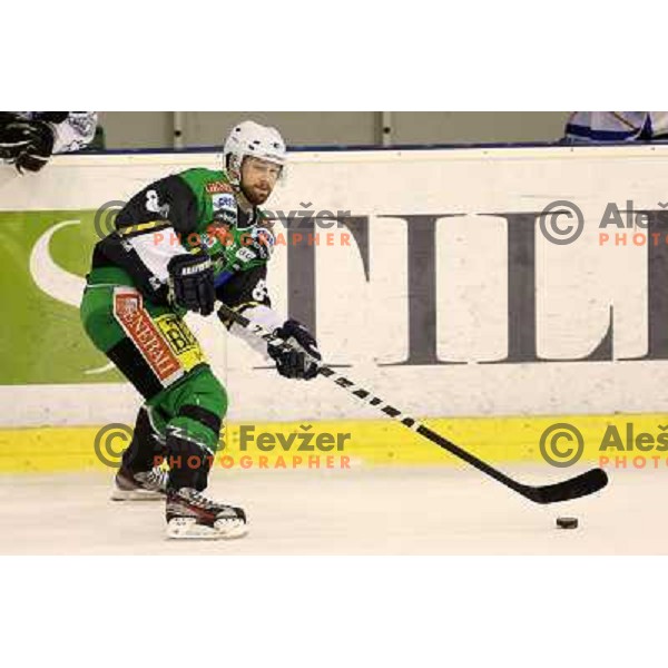 Andrej Hebar of Telemach Olimpija in action during ice hockey match Telemach Olimpija Ljubljana- Dornbirn in round 31 of Ebel league 2012/13 played in Hala Tivoli, Ljubljana, Slovenia on December 16, 2012 