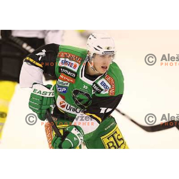 Chris d\'Alvise of Telemach Olimpija in action during ice hockey match Telemach Olimpija Ljubljana- Dornbirn in round 31 of Ebel league 2012/13 played in Hala Tivoli, Ljubljana, Slovenia on December 16, 2012 