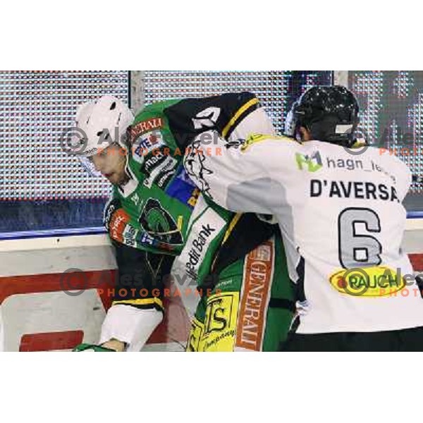 Ziga Pance of Telemach Olimpija in action during ice hockey match Telemach Olimpija Ljubljana- Dornbirn in round 31 of Ebel league 2012/13 played in Hala Tivoli, Ljubljana, Slovenia on December 16, 2012 