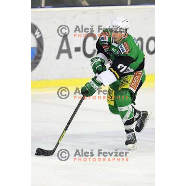 Miha Verlic of Telemach Olimpija in action during ice hockey match Telemach Olimpija Ljubljana- Dornbirn in round 31 of Ebel league 2012/13 played in Hala Tivoli, Ljubljana, Slovenia on December 16, 2012 