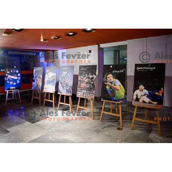 the Slovenian Sports men of the year 2012, 20.12.2012, Ljubljana 