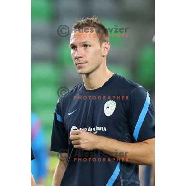 Dejan Kelhar of Slovenia during football match Slovenia-Switzerland in group E in FIFA 2014 World Cup Brasil Qualifiers, played in Arena Stozice, Ljubljana, Slovenia on September 7, 2012 
