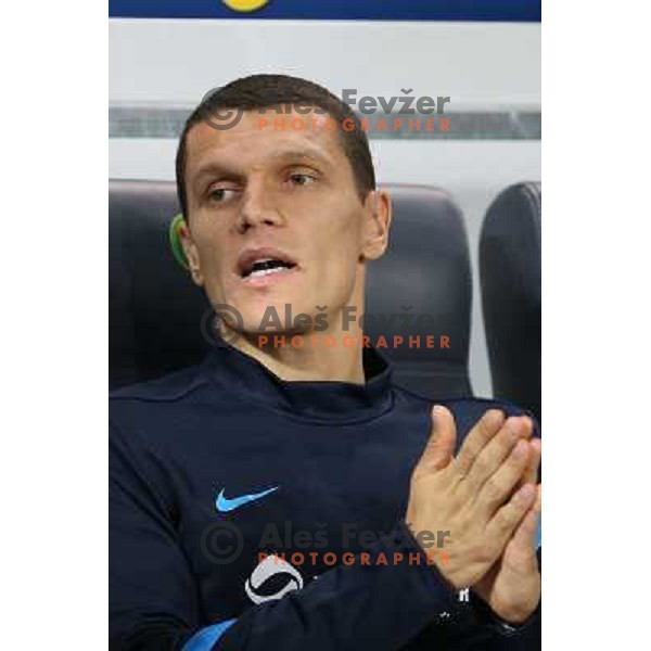 Darijan Matic of Slovenia during football match Slovenia-Switzerland in group E in FIFA 2014 World Cup Brasil Qualifiers, played in Arena Stozice, Ljubljana, Slovenia on September 7, 2012 